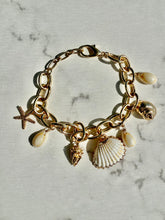 Load image into Gallery viewer, Coastal Charm Shell &amp; Starfish Charm Bracelet